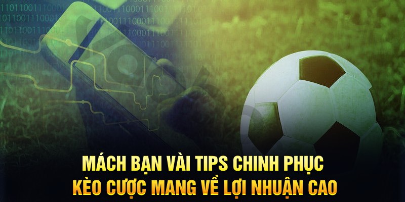 tp88 đăng nhập phỏm hàng đầu
