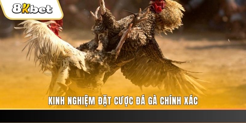 tp88 xổ số thứ bảy hàng tuần