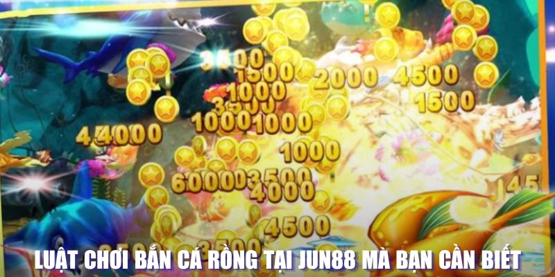 tp88 xổ số đài hà nội