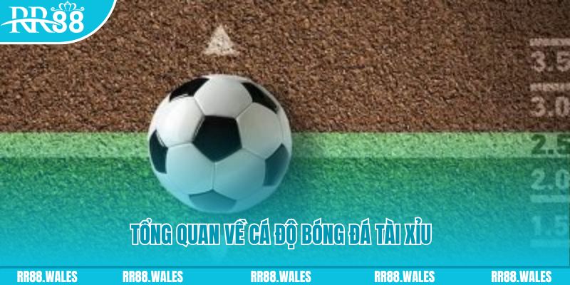 tp88 đăng nhập roulette online