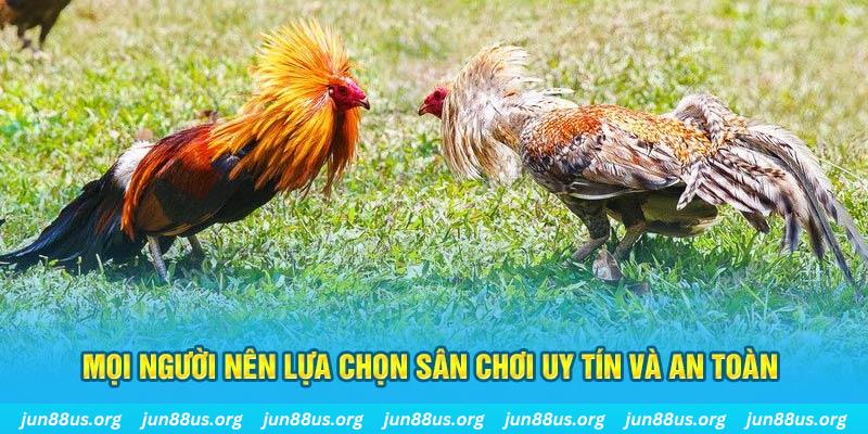 Cỡ bảy