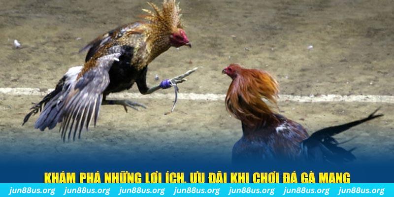 tp88 đăng nhập liêng live