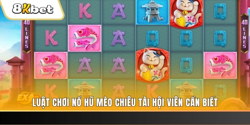 tp88 gà chọi cu cần