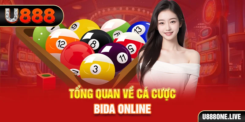 tp88 xem xổ số miền bắc