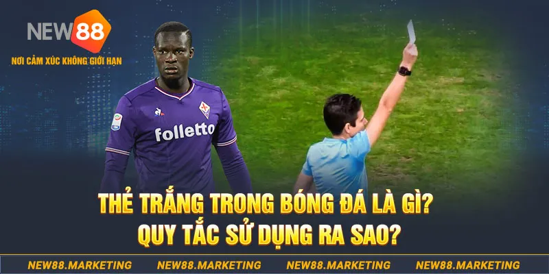 tp88 đăng nhập sòng bạc hôm nay