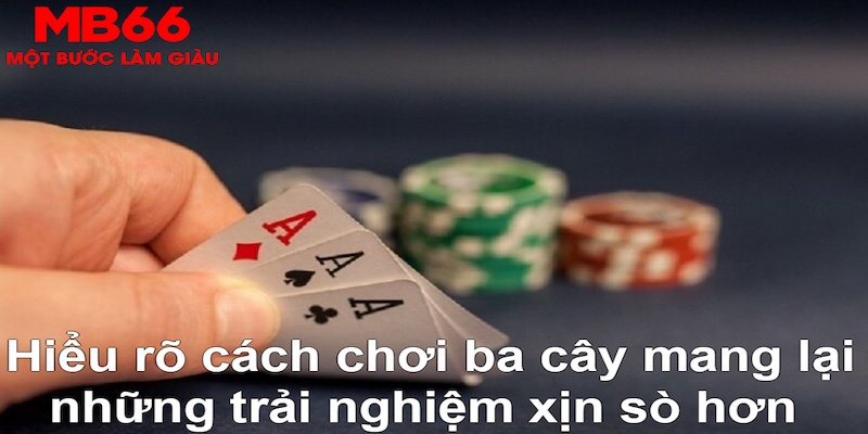 tp88 ÁT CHỦ MÁY HOA QUẢ THẦN TÀI