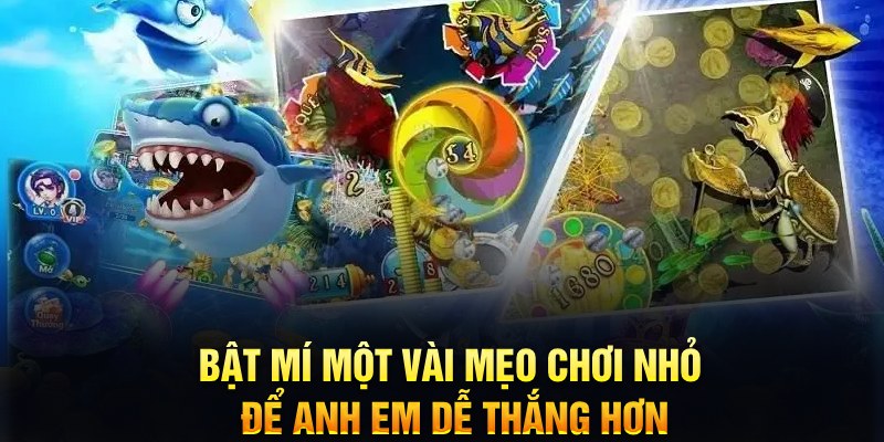 tp88 xổ số thứ ba
