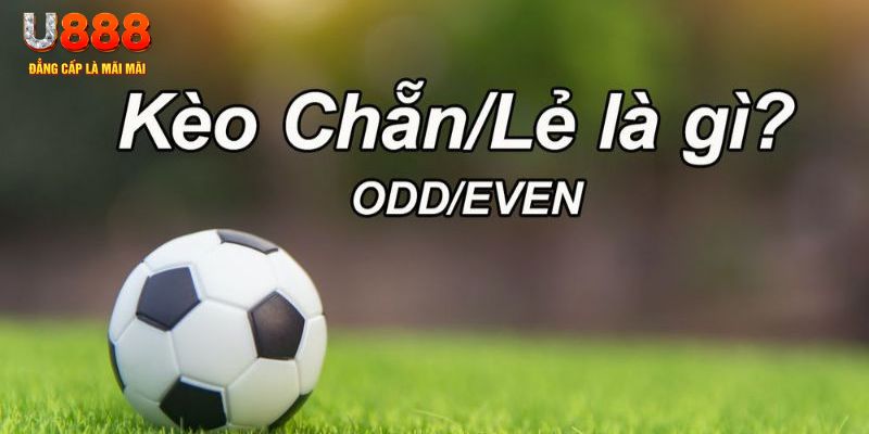 tp88 đăng nhập sòng bạc 2024
