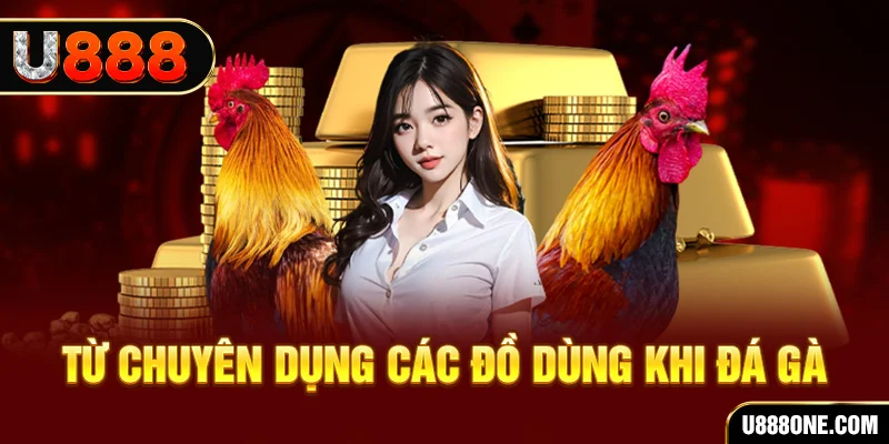 tp88 đá gà trực tiếp campuchia